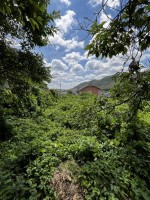 京都市伏見区・南区・東山区・下京区・右京区を中心とする不動産売買のセンチュリー21ハウスマーケット｜スタッフのオススメ物件や、オープンハウス・現地説明会など最新情報をお届け 「建築条件なし」お好きなハウスメーカーで建築できます。
